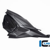 APM-PROJECT - BIKE-SECTOR - ILMBERGER - DUCATI - STREETFIGHTER V2 - 2022+