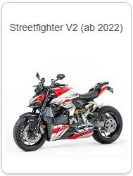 APM-PROJECT - BIKE-SECTOR - ILMBERGER - DUCATI - STREETFIGHTER V2 2022+