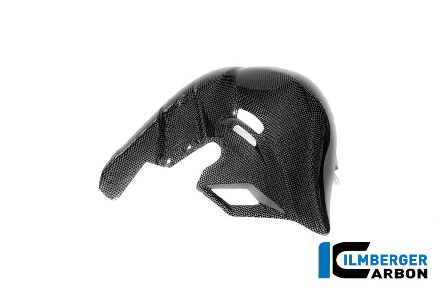 APM-PROJECT - BIKE-SECTOR - ILMBERGER CARBON - DUCATI PANIGALE V4 2025+ | CG.AHS.016.V4P24