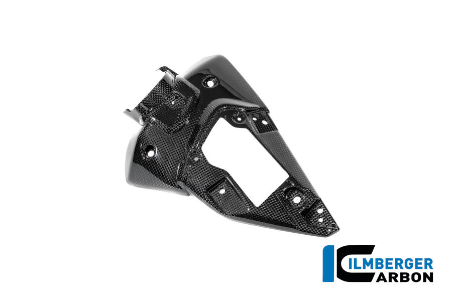 APM-PROJECT - BIKE-SECTOR - ILMBERGER CARBON - BMW - R12 NINE T CARBON - 2024+