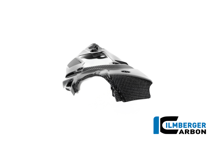 APM-PROJECT - BIKE-SECTOR - ILMBERGER CARBON - BMW - R12 NINE T CARBON - 2024+ - CG.ABR.017.R12NT