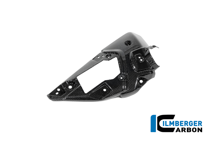 APM-PROJECT - BIKE-SECTOR - ILMBERGER CARBON - BMW - R12 NINE T CARBON - 2024+ - CG.ABR.017.R12NT