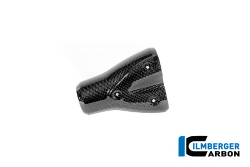 APM-PROJECT - BIKE-SECTOR - ILMBERGER CARBON - BMW - R12 NINE T CARBON - 2024+ - CG.AHS.001.R12NT