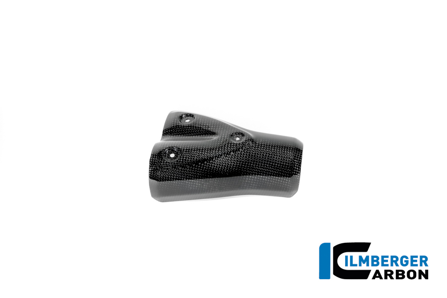 APM-PROJECT - BIKE-SECTOR - ILMBERGER CARBON - BMW - R12 NINE T CARBON - 2024+ - CG.AHS.001.R12NT
