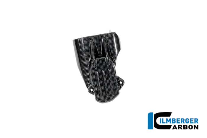 APM-PROJECT - BIKE-SECTOR - ILMBERGER CARBON - BMW - R12 NINE T CARBON - 2024+ - CG.LDO.015.R12NT