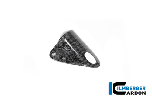 APM-PROJECT - BIKE-SECTOR - ILMBERGER CARBON - BMW - R12 NINE T CARBON - 2024+ - CG.TLA.011.R12NT