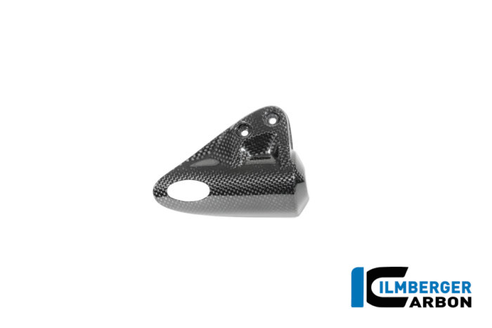 APM-PROJECT - BIKE-SECTOR - ILMBERGER CARBON - BMW - R12 NINE T CARBON - 2024+ - CG.TLA.011.R12NT