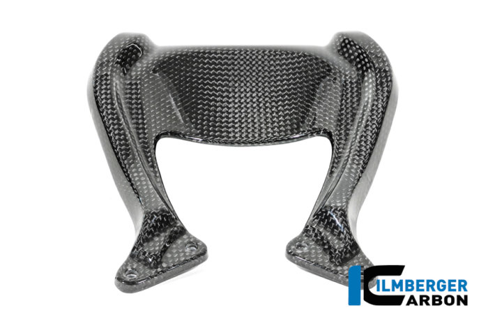 APM-PROJECT - BIKE-SECTOR - ILMBERGER CARBON - BMW - R12 NINE T CARBON - 2024+ - CG.VEO.004.R12NT
