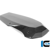 APM-PROJECT - BIKE-SECTOR - ILMBERGER CARBON - BMW - R12 NINE T CARBON - 2024+ - CG.VEU.010.R12NT