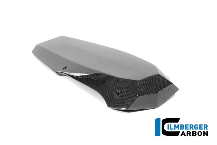 APM-PROJECT - BIKE-SECTOR - ILMBERGER CARBON - BMW - R12 NINE T CARBON - 2024+ - CG.VEU.010.R12NT