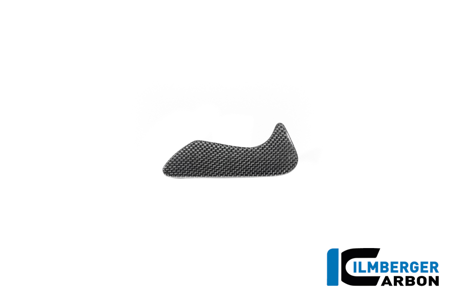 APM-PROJECT - BIKE-SECTOR - ILMBERGER CARBON - BMW - R12 NINE T CARBON - 2024+ - CG.WKA.012.R12NT