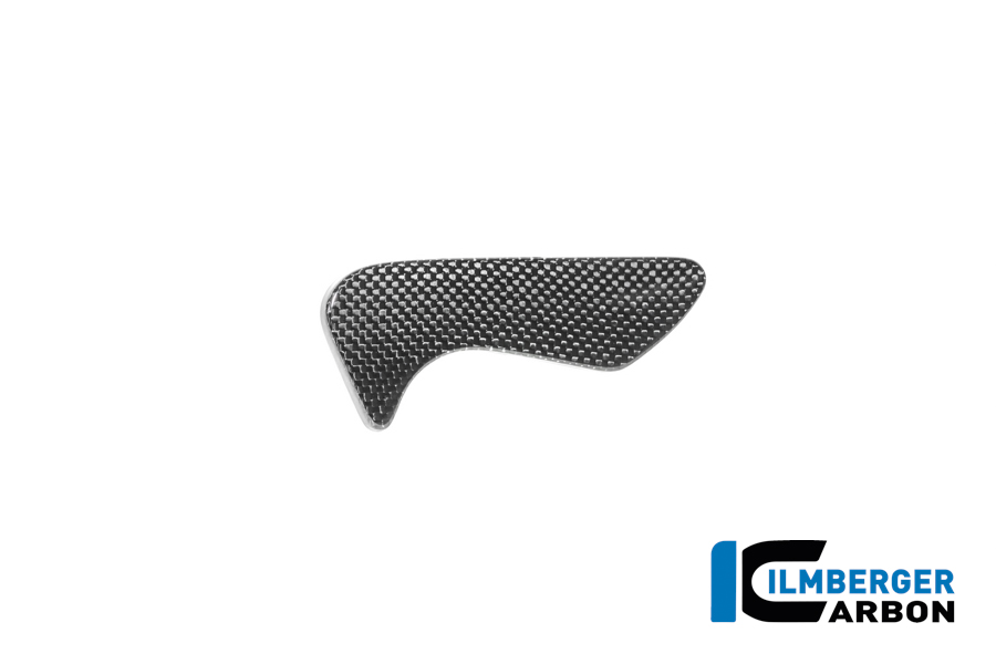 APM-PROJECT - BIKE-SECTOR - ILMBERGER CARBON - BMW - R12 NINE T CARBON - 2024+ - CG.WKA.012.R12NT