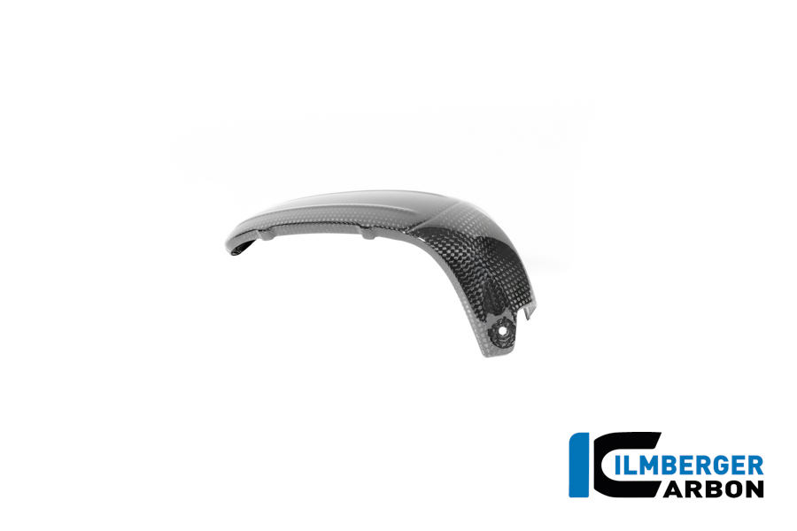 APM-PROJECT - BIKE-SECTOR - ILMBERGER CARBON - BMW - R12 NINE T CARBON - 2024+ - CG.ZKL.008.R12NT