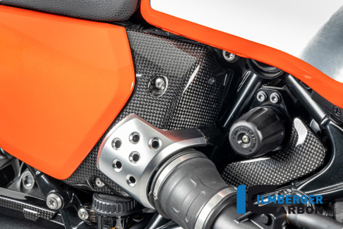 APM-PROJECT - BIKE-SECTOR - ILMBERGER CARBON - BMW - R12 NINE T CARBON - 2024+ - CG.ABR.017.R12NT