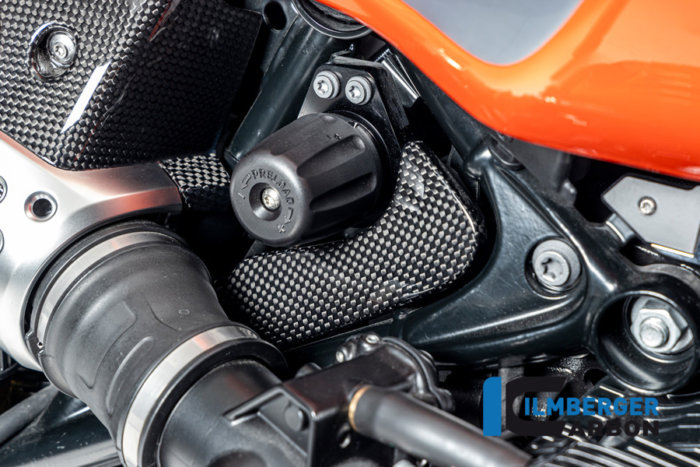 APM-PROJECT - BIKE-SECTOR - ILMBERGER CARBON - BMW - R12 NINE T CARBON - 2024+ - CG.WKA.012.R12NT