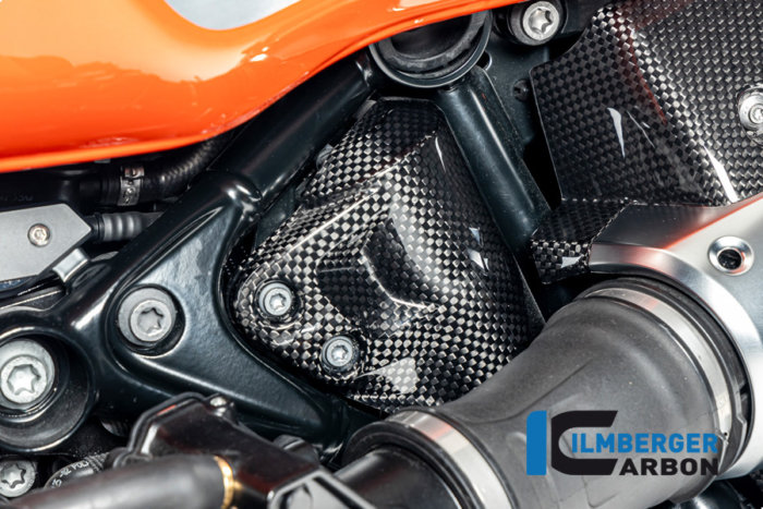 APM-PROJECT - BIKE-SECTOR - ILMBERGER CARBON - BMW - R12 NINE T CARBON - 2024+ - CG.TLA.011.R12NT