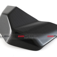 APM-PROJECT - BIKE-SECTOR - FULLSIX CARBON - DUCATI PANIGALE - STREETFIGHTER V4 - 2025+