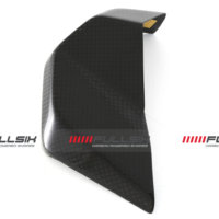 APM-PROJECT - BIKE-SECTOR - FULLSIX CARBON - DUCATI PANIGALE - STREETFIGHTER V4 - 2025+