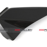 APM-PROJECT - BIKE-SECTOR - FULLSIX CARBON - DUCATI PANIGALE - STREETFIGHTER V4 - 2025+