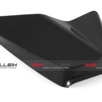 APM-PROJECT - BIKE-SECTOR - FULLSIX CARBON - DUCATI PANIGALE - STREETFIGHTER V4 - 2025+