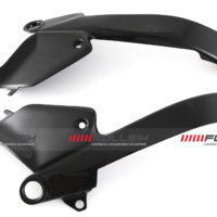 APM-PROJECT - BIKE-SECTOR - FULLSIX CARBON - DUCATI PANIGALE - STREETFIGHTER V4 - 2025+