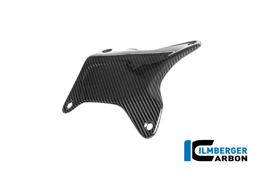 APM-PROJECT - BIKE-SECTOR - ILMBERGER CARBON - BMW - R 1300 GS - CG.VAL.005.24GSA