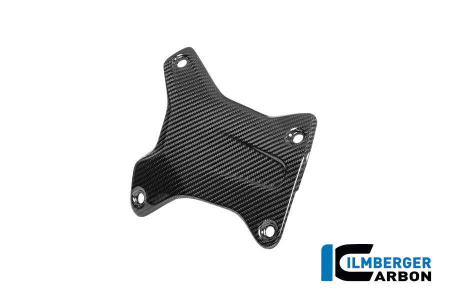 APM-PROJECT - BIKE-SECTOR - ILMBERGER CARBON - BMW - R 1300 GS - CG.VAR.006.24GSA