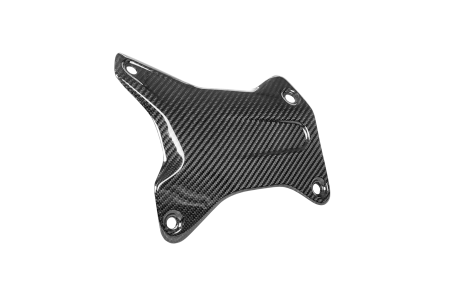 APM-PROJECT - BIKE-SECTOR - ILMBERGER CARBON - BMW - R 1300 GS - CG.VAR.006.24GSA