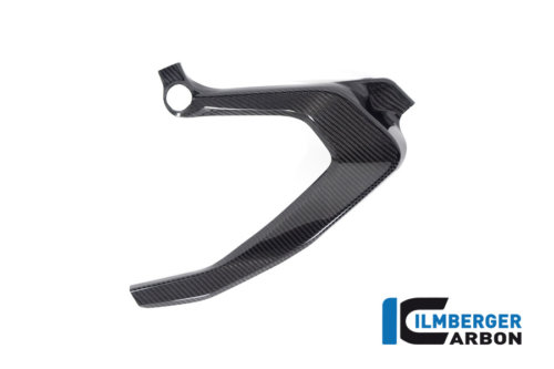 APM-PROJECT - BIKE-SECTOR - ILMBERGER CARBON - BMW - R 1300 GS - CG.RAL.013.R23GS