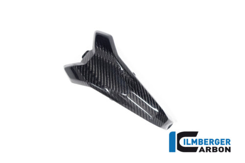 APM-PROJECT - BIKE-SECTOR - ILMBERGER CARBON - BMW - R 1300 GS - CG.ZAR.027.R23GS
