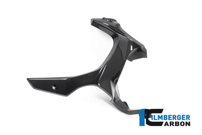 APM-PROJECT - BIKE-SECTOR - ILMBERGER CARBON - BMW - R 1250 GS ADVENTURE - LAR.002.GSA9T.K