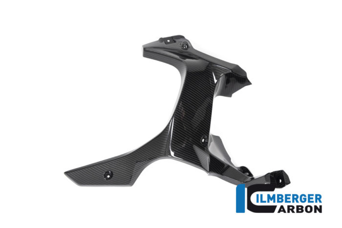APM-PROJECT - BIKE-SECTOR - ILMBERGER CARBON - BMW - R 1250 GS ADVENTURE - LAR.002.GSA9T.K