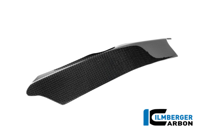 APM-PROJECT - BIKE-SECTOR - ILMBERGER CARBON - DUCATI PANIGALE V4 - CG_RHL_022_V4P24