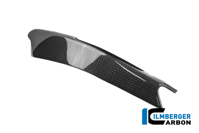 APM-PROJECT - BIKE-SECTOR - ILMBERGER CARBON - DUCATI PANIGALE V4 - CG_RHL_022_V4P24