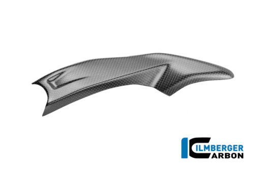 APM-PROJECT - BIKE-SECTOR - ILMBERGER CARBON - DUCATI PANIGALE V4 - CM.RAL.019.V4P24