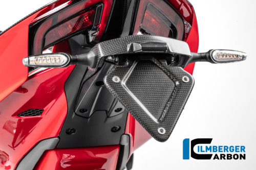 APM-PROJECT - BIKE-SECTOR - ILMBERGER CARBON - DUCATI PANIGALE V4 - STREETFIGHTER V4 - CM.NHO.009.V4P24